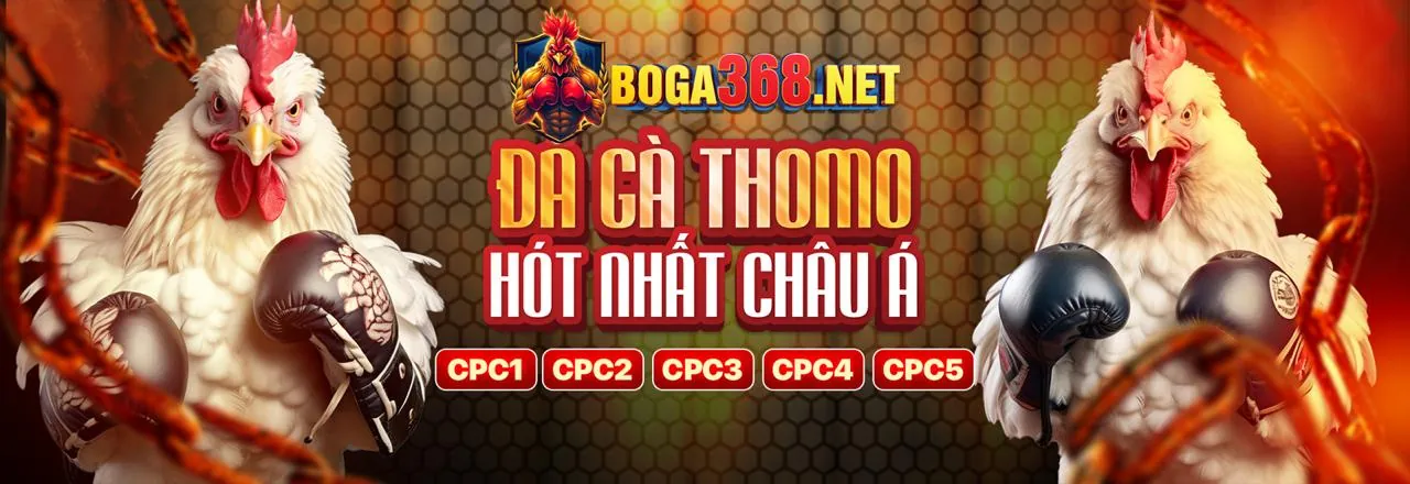 Điều khoản dịch vụ của 98win58 nhà cái