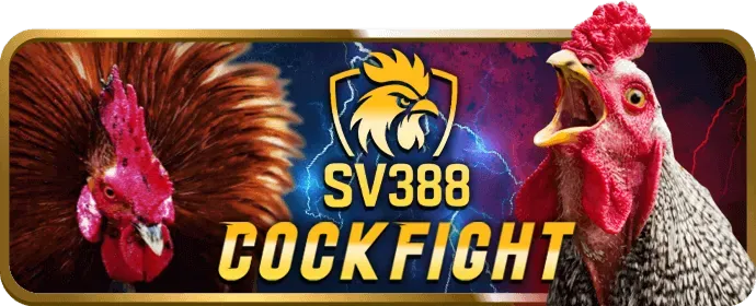 Hình ảnh minh họa quản lý vốn và phân tích cá cược tại 98win58 nhà cái